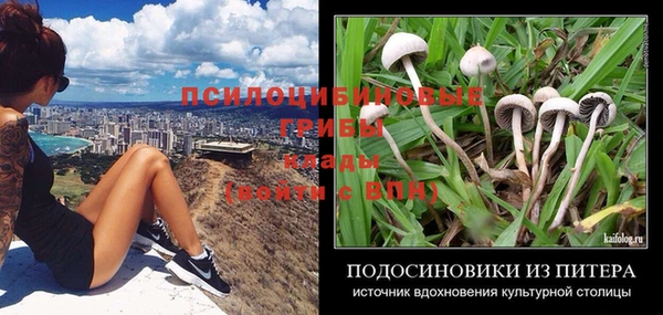 ALPHA PVP Дедовск