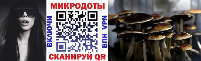 Купить  Котово  Псилоцибиновые грибы MAGIC MUSHROOMS 