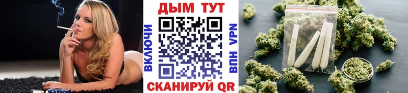 Каннабис OG Kush  Купить  Котово 